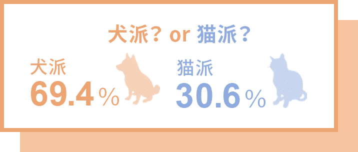 犬派？or猫派？ 犬派69.4% 猫派30.6%
